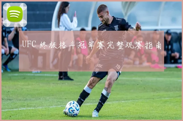 UFC 终极格斗冠军赛完整观赛指南