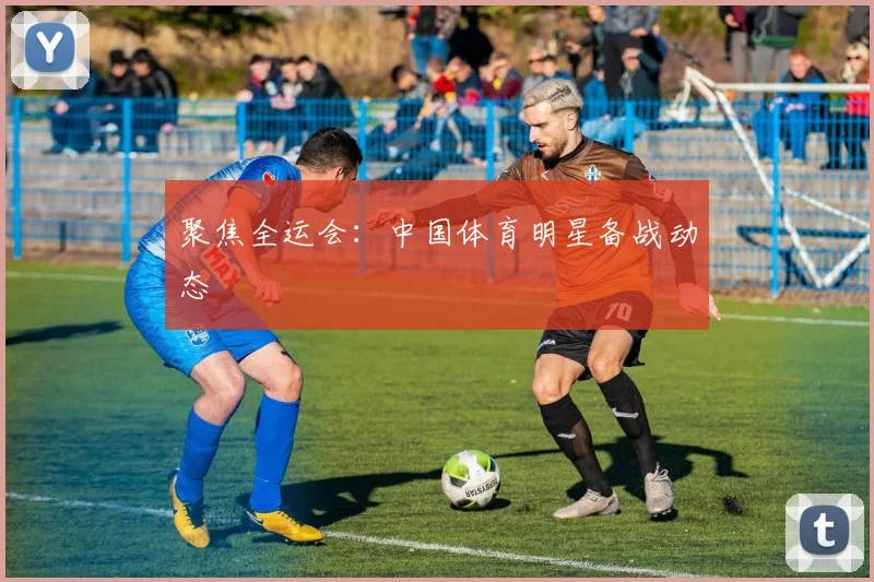 聚焦全运会:中国体育明星备战动态