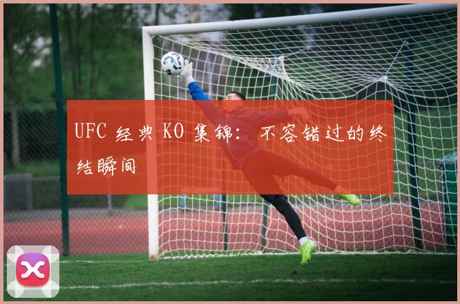 UFC 经典 KO 集锦：不容错过的终结瞬间
